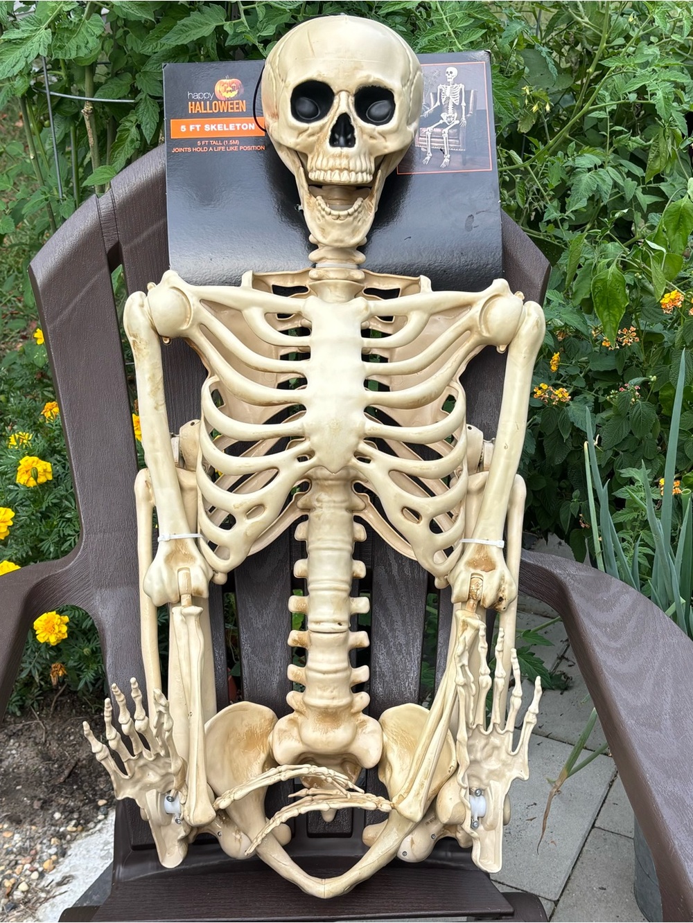 5FT Halloween Skeleton Life-Size Prop Decoration Posable Movable Joints